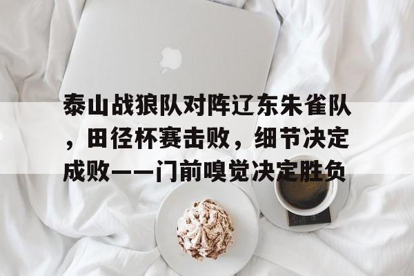 爱游戏下载-关于泰山战狼队对阵辽东朱雀队,田径杯赛击败,细节决定成败——门前嗅觉决定胜负的信息